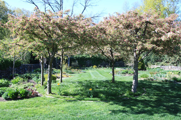 Tranquil Lake Nursery